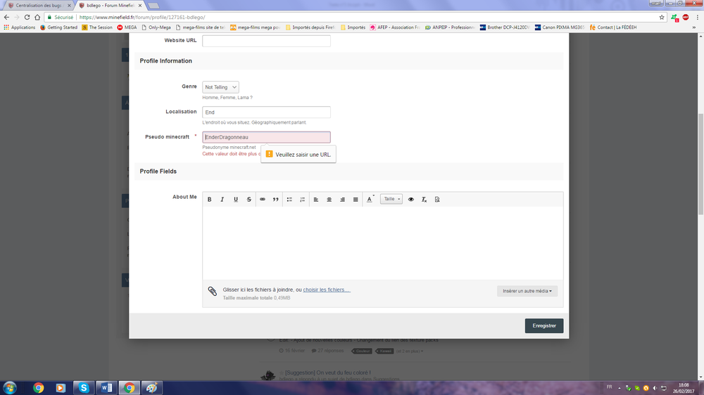 bug forum minefield 2.png