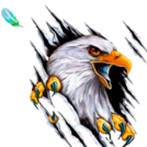 IceEagle5639