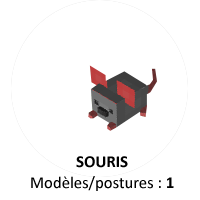 FormatAnimal-Souris-a.png.390eddfaff4dfeee07992fa027860473.png