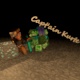 Capt\'ainKurte